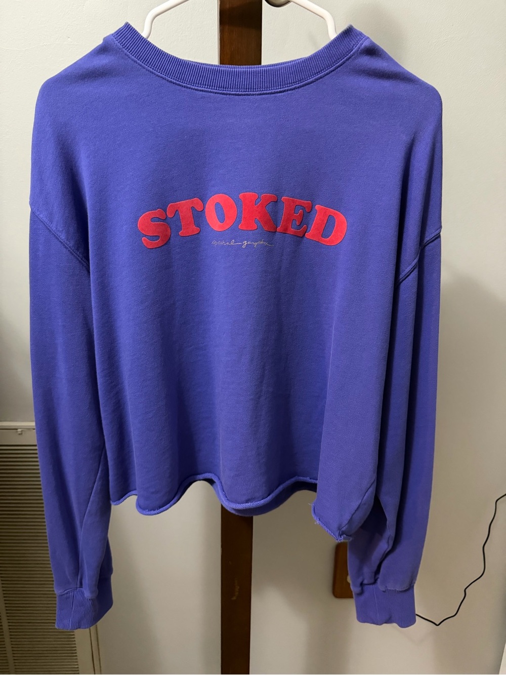 Spiritual Gangster STOKED Cropped Crewneck